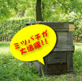 �ʤĤ�����ǤϤߤĤФ����ʴ�˻ȤäƤ��ޤ�
